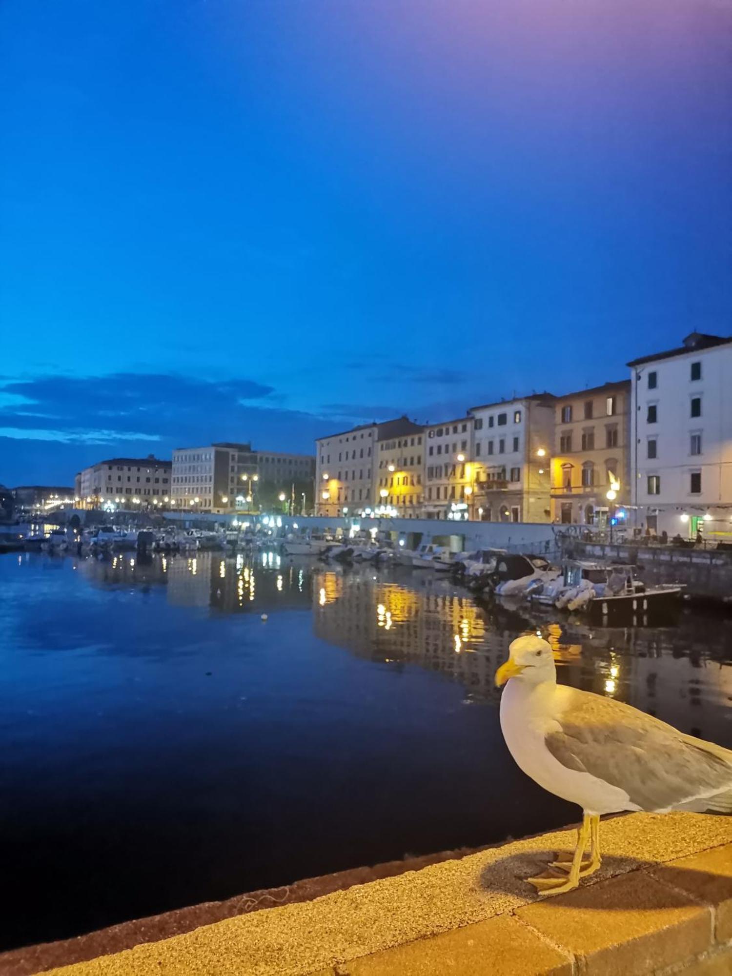 Residenza Vittoria Livorno Daire Dış mekan fotoğraf